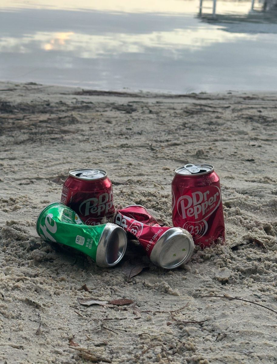 Trash on the beach has a negative impact on not only the waters but also the people around. Vacationers may leave their soda cans and such behind without a second though. This has been one of the leading causes of beach pollution.