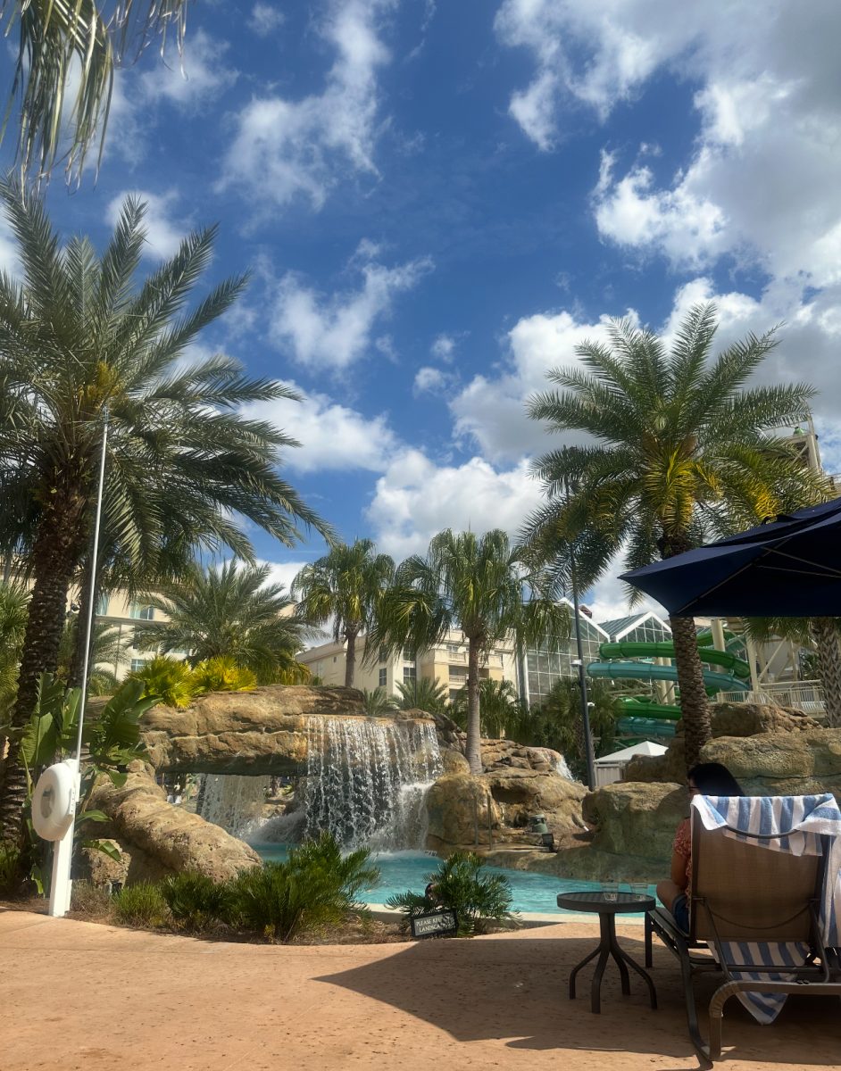 A perfect summer getaway with palm trees, pools, and waterfalls. It’s been a favorite in the past, still loved now, and will definitely be a go-to spot for summers to come. Photo courtesy of Isabella Reincke.