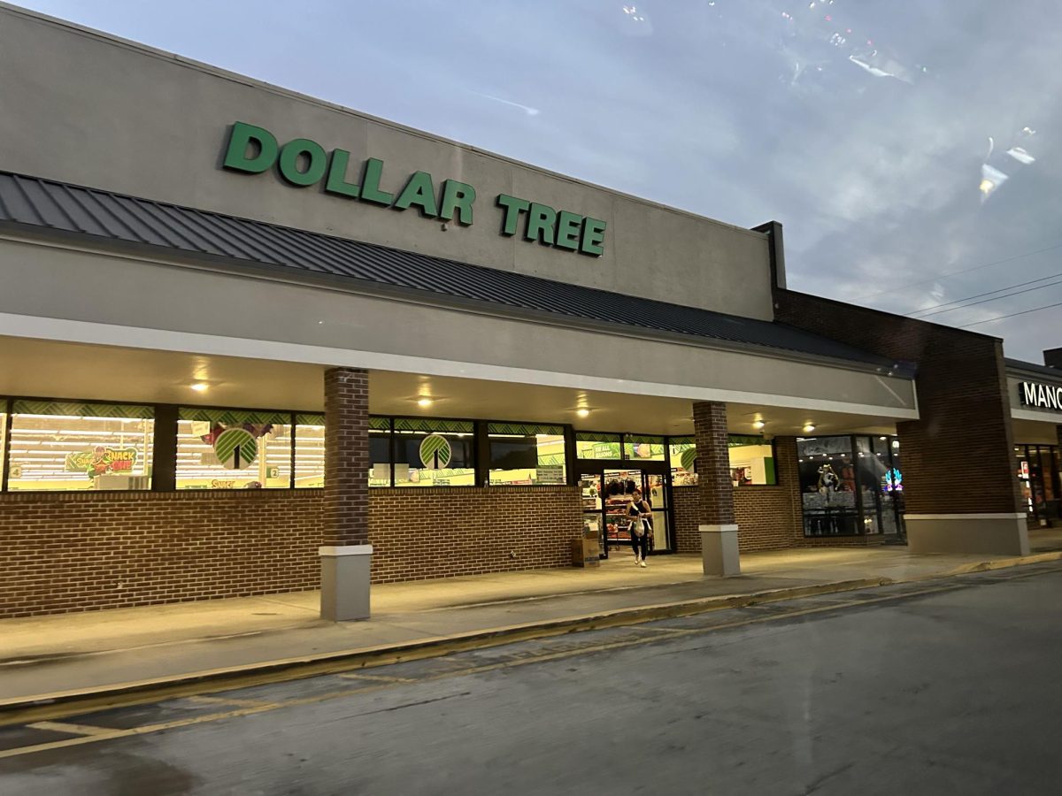 Dollar Tree on 5360 Erlich Rd, Tampa, FL 33624 .This is the place where Gator Fred’s once stood over 6 years ago.  (Photo Curtesy of Seth Demetroulis) 