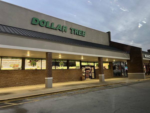 Dollar Tree on 5360 Erlich Rd, Tampa, FL 33624 .This is the place where Gator Fred’s once stood over 6 years ago.  (Photo Curtesy of Seth Demetroulis) 